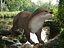 OTTER