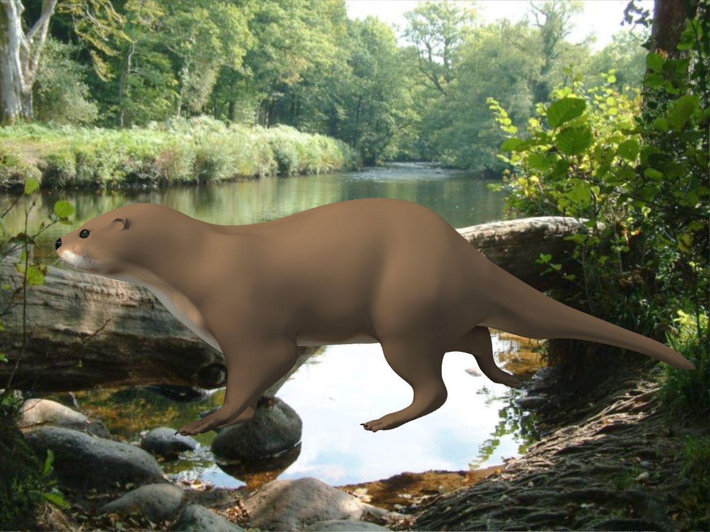 otter scene 3d model https://p.turbosquid.com/ts-thumb/ck/KgPkXv/zHqVkGB2/otter_03/jpg/1420237252/1920x1080/fit_q87/1525d9eb456332c2bd259d70522400237a65542c/otter_03.jpg
