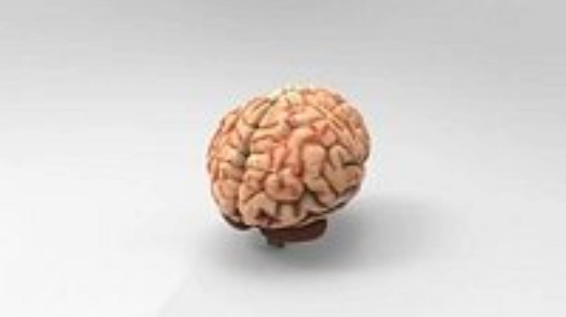 3D Human Body Collection - TurboSquid 2235752