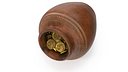 Old Clay Pot Full of Gold Coins