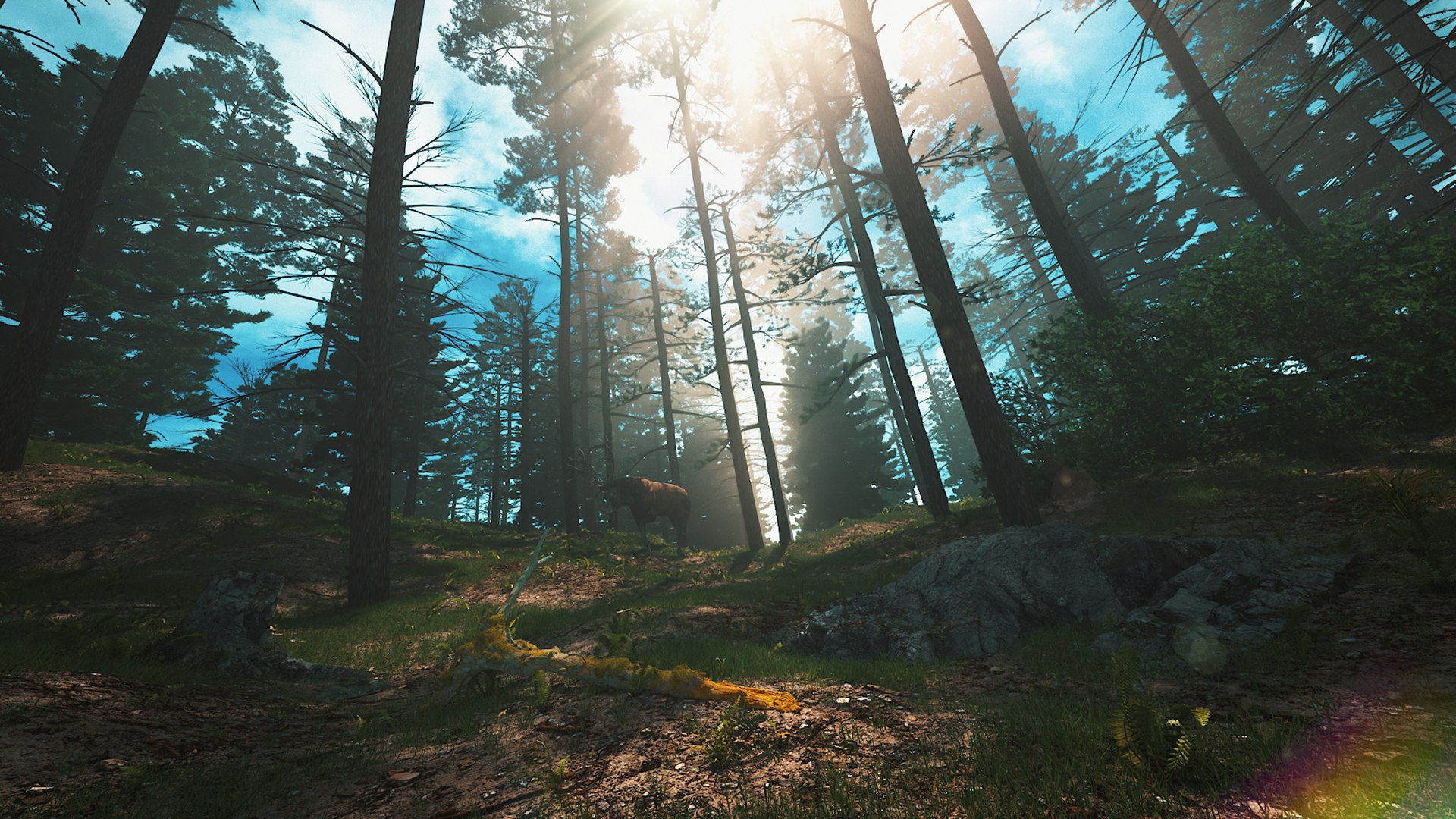 3D C4D Octane Render Forest Early Morning Tropical Rainforest River Elk ...
