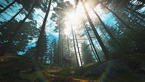 C4D Octane render Forest early morning tropical rainforest River elk scene