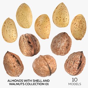 3D model Almonds With Shell and Walnuts Collection 01 - 10 models