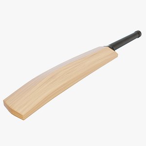 3D Cricket Bat model