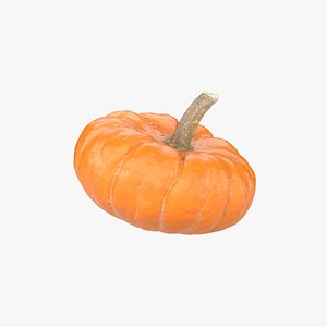 3D Decorative Pumpkin Gourd 02 model