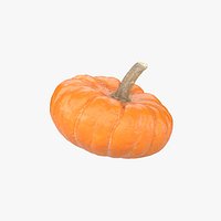 Decorative Pumpkin Gourd 02
