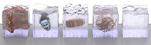 3ds max ice cubes frozen