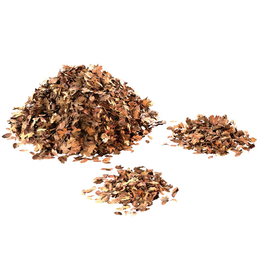 Leaf n2 model https://p.turbosquid.com/ts-thumb/ck/rFKzvV/tE/render6/jpg/1744374960/1920x1080/fit_q87/387407284ac84a452e9793ed17e75d50ea267706/render6.jpg