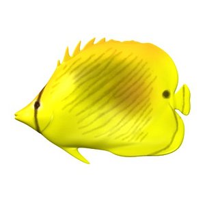 tropical fish 3d model