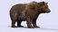 bear xgen fur 3d ma