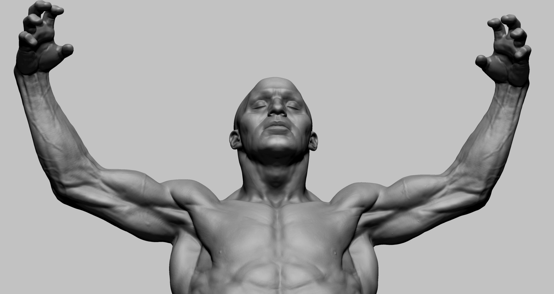 Human Anatomy 3D Model Biology Diagrams