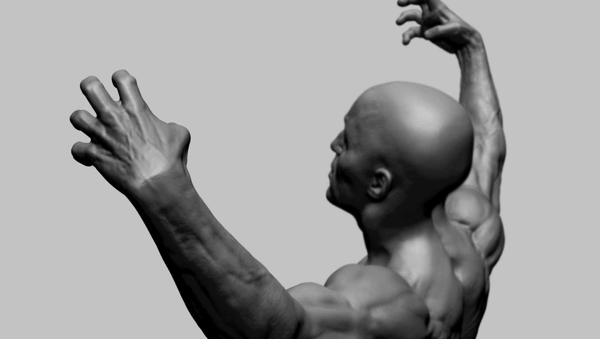 Human Anatomy 3D Model Biology Diagrams