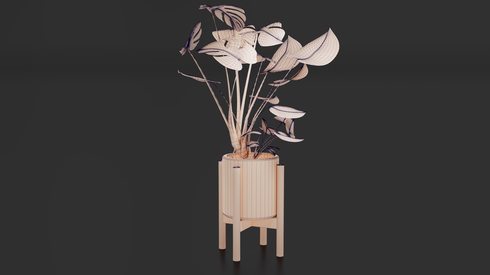 3D Monstera Pot model https://p.turbosquid.com/ts-thumb/cl/RGZHbo/1B/images08/png/1769871558/1920x1080/fit_q87/843a4ec7d95e4bf2fc23d0fd7c70221814b098b9/images08.jpg