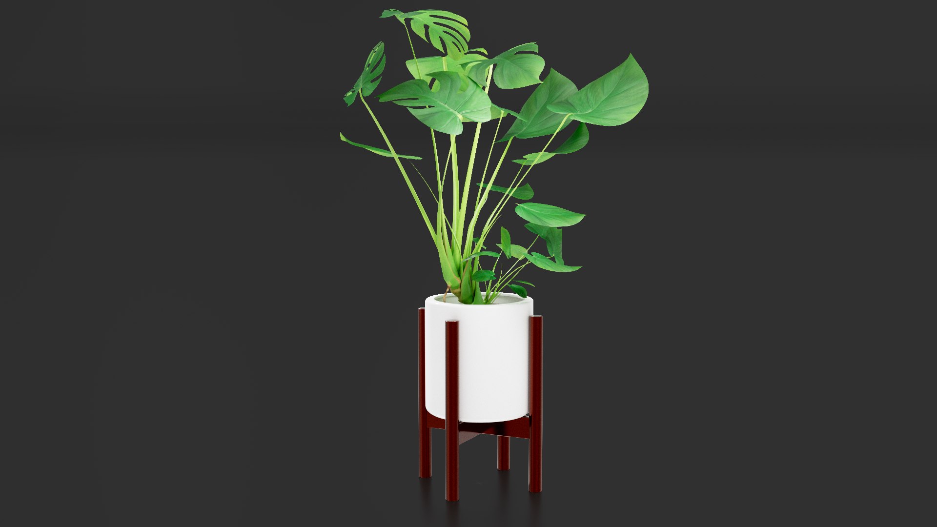 3D Monstera Pot model https://p.turbosquid.com/ts-thumb/cl/RGZHbo/9G/images03/png/1769871554/1920x1080/fit_q87/26ca8b33f58acaa3ff601a7ca121f1ccad89625a/images03.jpg