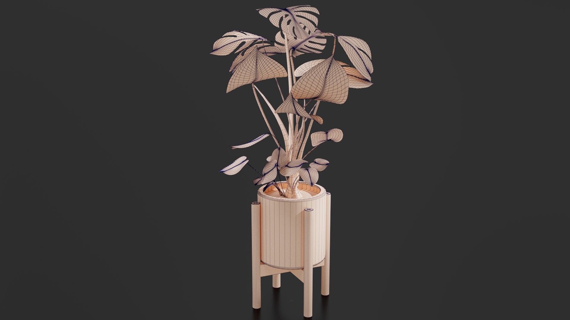 3D Monstera Pot model https://p.turbosquid.com/ts-thumb/cl/RGZHbo/FZ/images05/png/1769871556/1920x1080/fit_q87/c11579e4f23b52295903c1fe49dca019a6ae95a6/images05.jpg
