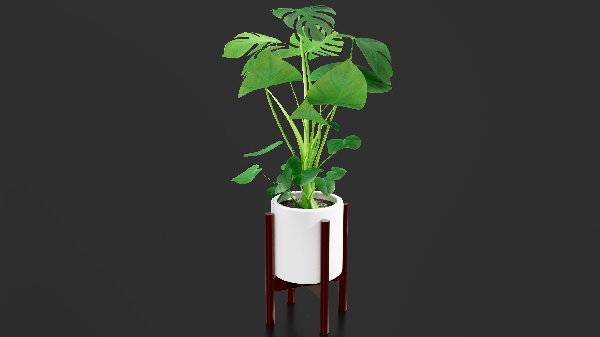 3D Monstera Pot model https://p.turbosquid.com/ts-thumb/cl/RGZHbo/GN/images00/png/1769871554/1920x1080/fit_q87/13ad8c89aae653773fd1cf59a1e1d1bf3f38a5e7/images00.jpg