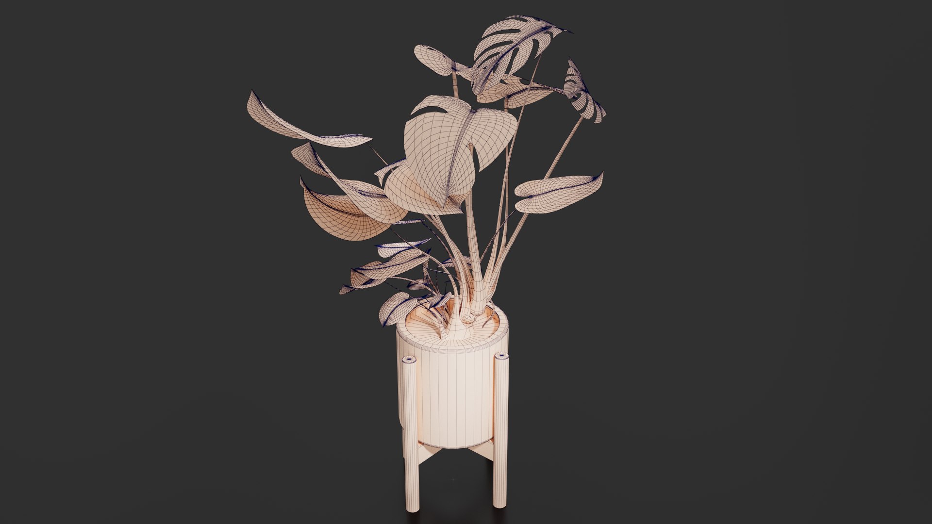 3D Monstera Pot model https://p.turbosquid.com/ts-thumb/cl/RGZHbo/Gc/images06/png/1769871557/1920x1080/fit_q87/2269348968bafc34a7c058eea701e25bd7931e6d/images06.jpg