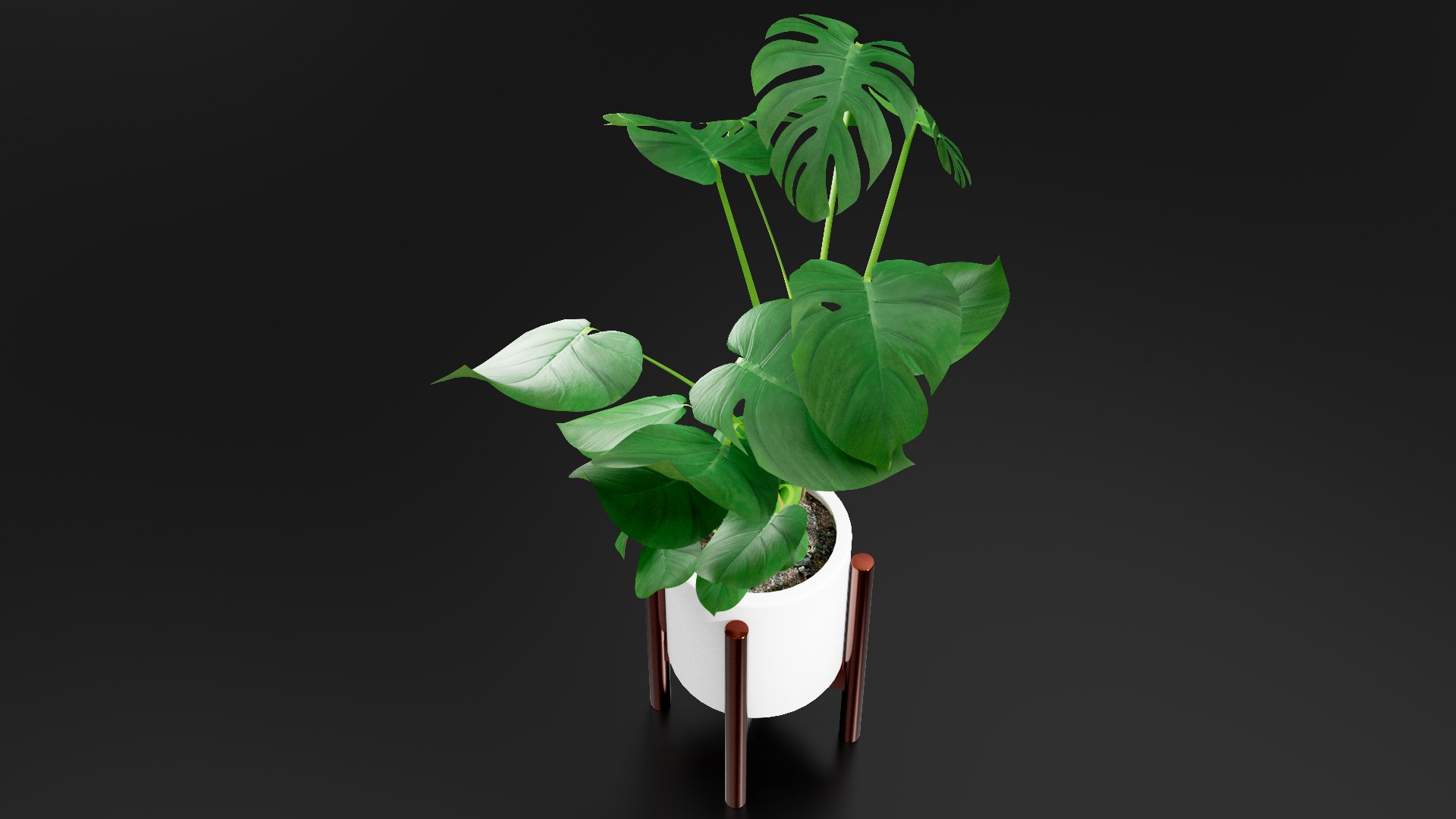 3D Monstera Pot model https://p.turbosquid.com/ts-thumb/cl/RGZHbo/bx/images04/png/1769871556/1920x1080/fit_q87/2c80523e2c11ebc7d9a295909a65dcbb5dc49fe5/images04.jpg