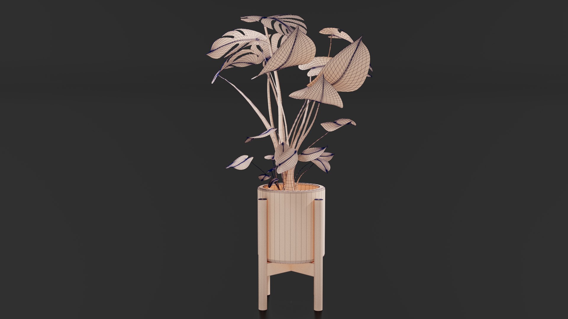 3D Monstera Pot model https://p.turbosquid.com/ts-thumb/cl/RGZHbo/mr/images07/png/1769871557/1920x1080/fit_q87/c4a7584d2a91f19c62db879d0d9979ee9baed49c/images07.jpg