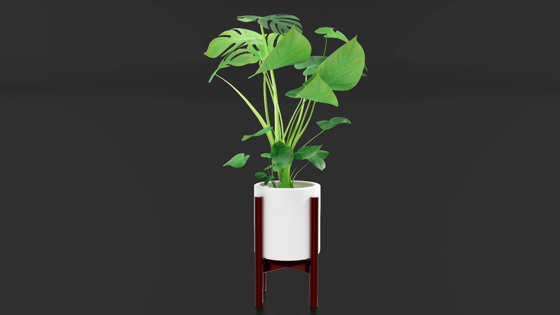 3D Monstera Pot model https://p.turbosquid.com/ts-thumb/cl/RGZHbo/pX/images02/png/1769871555/1920x1080/fit_q87/d0de6618ccf49ec24a529aff197ae26af0d48de4/images02.jpg