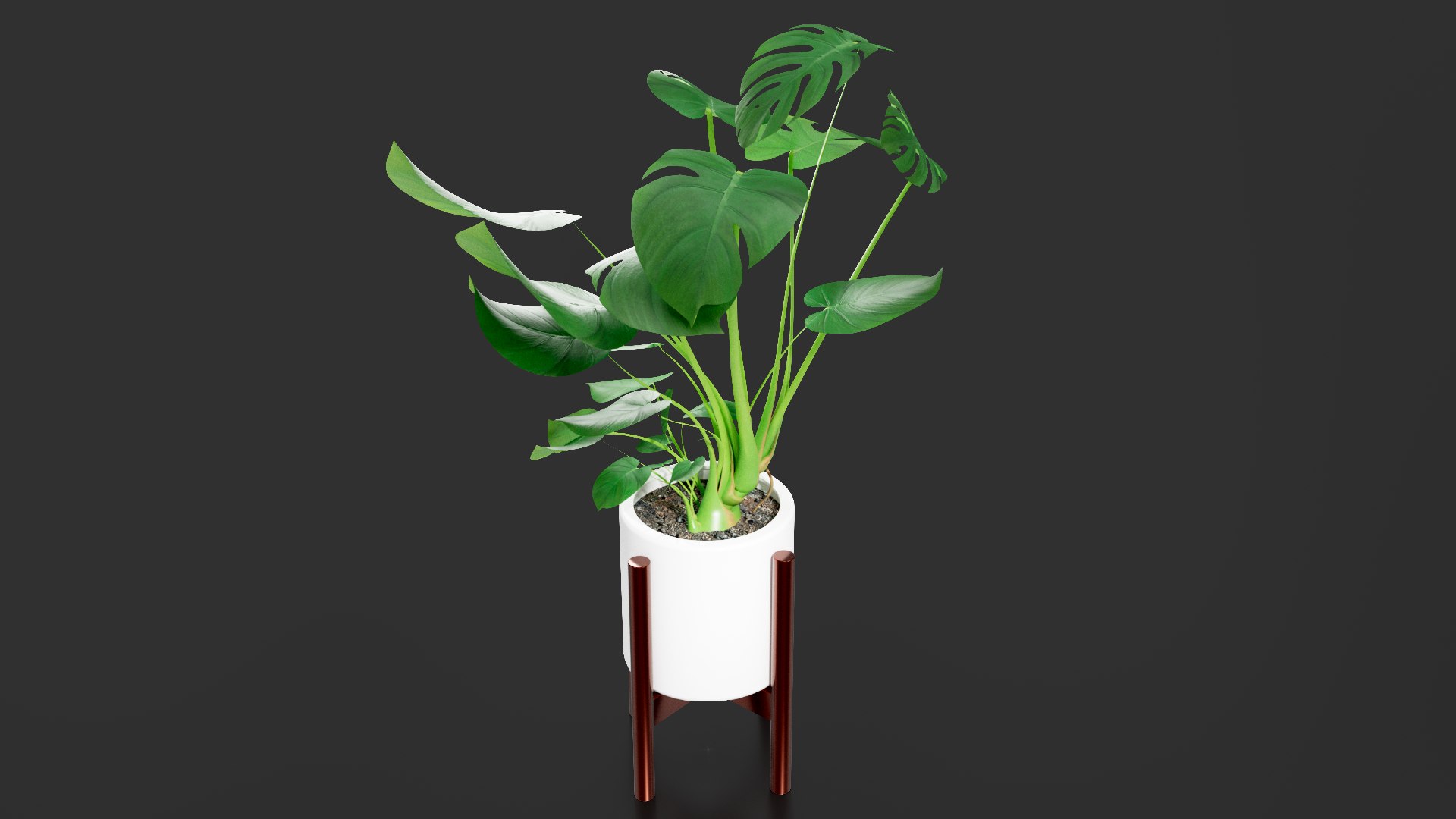 3D Monstera Pot model https://p.turbosquid.com/ts-thumb/cl/RGZHbo/zC/images01/png/1769871554/1920x1080/fit_q87/18d37fe999d1813b5832cb3a0fb899a2512f63d1/images01.jpg
