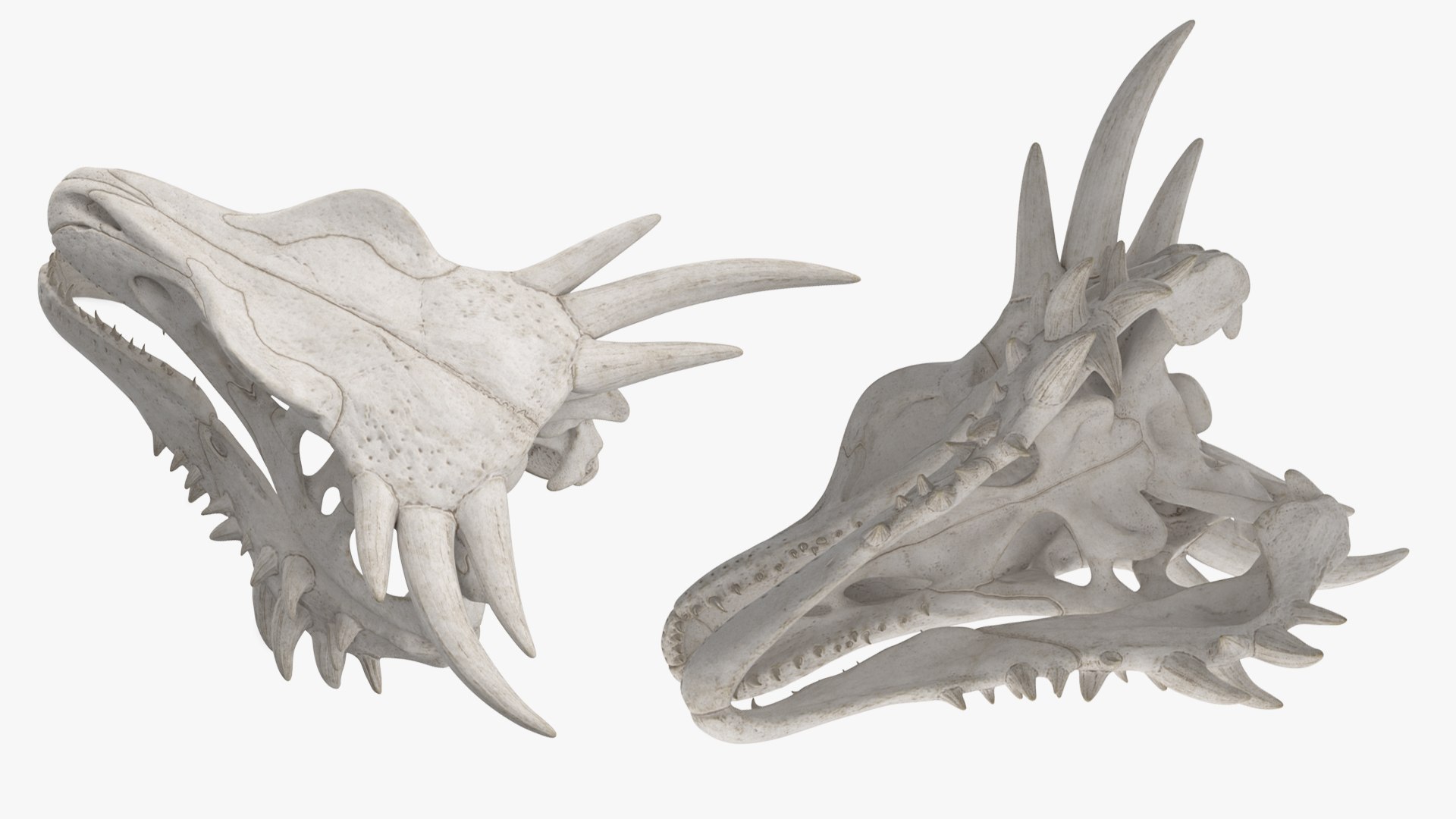 3D Skulls Collection 8 https://p.turbosquid.com/ts-thumb/cl/Z2MJQp/7g/skulls_collection_8_013/jpg/1764682680/1920x1080/fit_q87/b55293599c7616231b52888028661b0ddf9b531d/skulls_collection_8_013.jpg