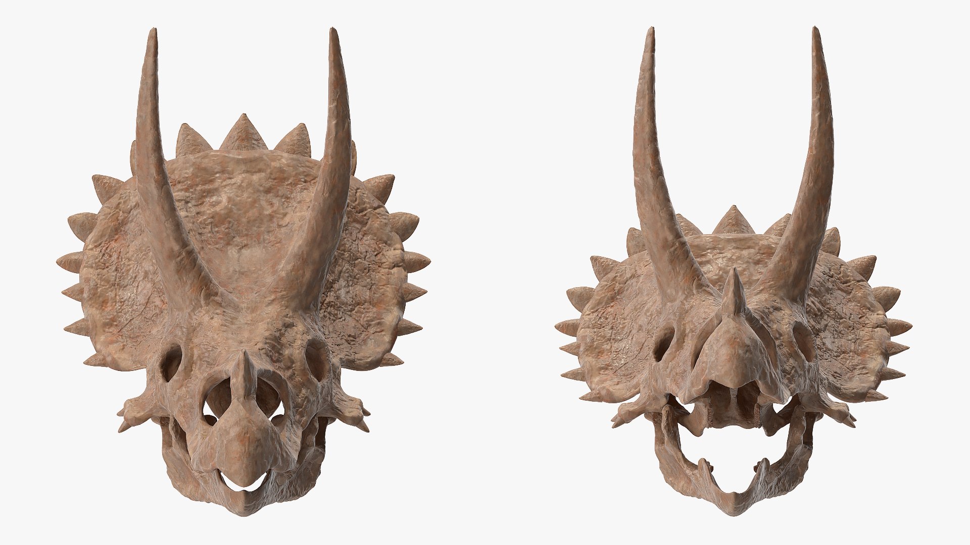 3D Skulls Collection 8 https://p.turbosquid.com/ts-thumb/cl/Z2MJQp/7h/skulls_collection_8_017/jpg/1764682682/1920x1080/fit_q87/b48510c263721f76570d74ebfa13790742ae4633/skulls_collection_8_017.jpg