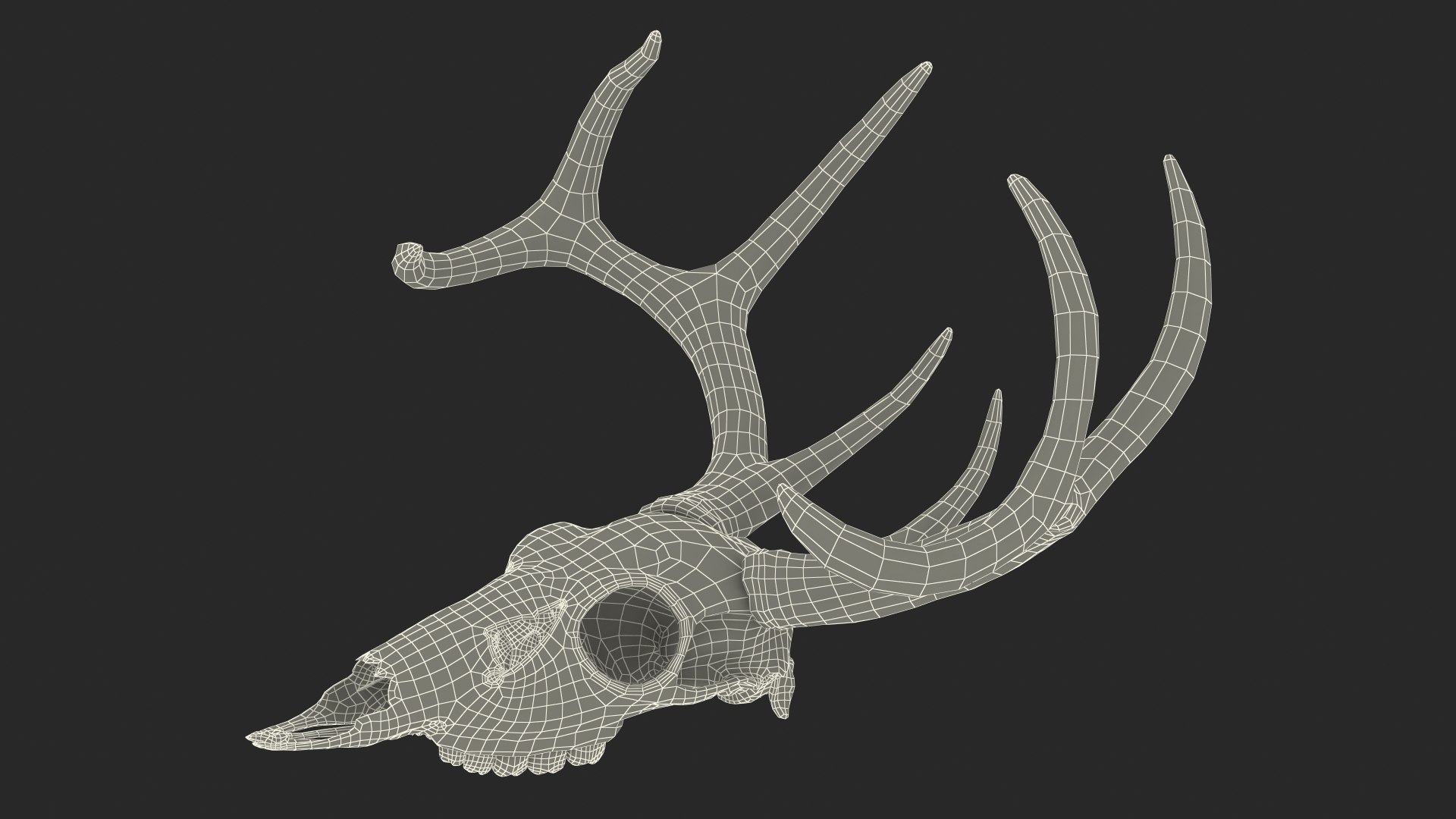 3D Skulls Collection 8 https://p.turbosquid.com/ts-thumb/cl/Z2MJQp/qi/skulls_collection_8_026/jpg/1764682687/1920x1080/fit_q87/887cf015448f9d301d9bbd80c9d54c22d5ce68a9/skulls_collection_8_026.jpg
