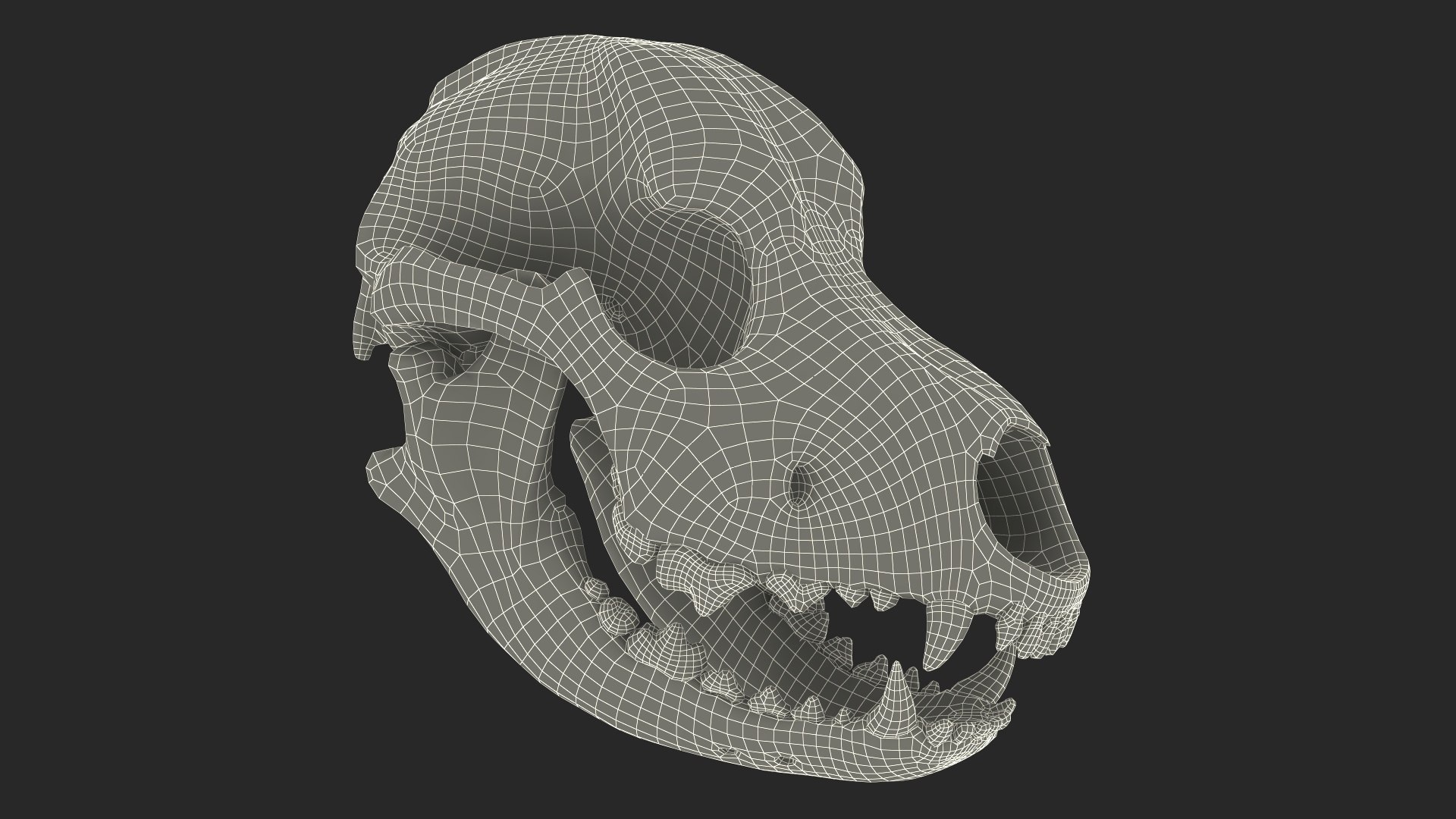 3D Skulls Collection 8 https://p.turbosquid.com/ts-thumb/cl/Z2MJQp/rI/skulls_collection_8_006/jpg/1764682676/1920x1080/fit_q87/6c82ce86d61d68ef6859f521ae7f70c9c86725f5/skulls_collection_8_006.jpg