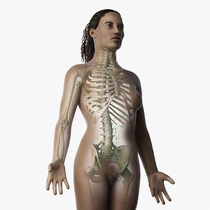 skin african female skeleton model