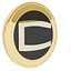 CoinMex Token Cryptocurrency Gold Coin