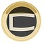 CoinMex Token Cryptocurrency Gold Coin