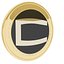 CoinMex Token Cryptocurrency Gold Coin
