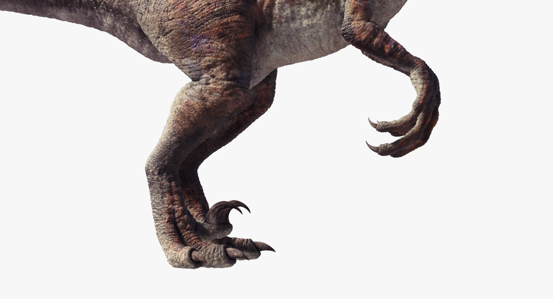 3d raptor dinosaur model https://p.turbosquid.com/ts-thumb/cm/0SeS1W/6GRtVroj/signature5/png/1439242346/1920x1080/fit_q87/483cd5be259f189fb1de7dada440051a732fcf02/signature5.jpg