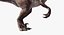 Raptor