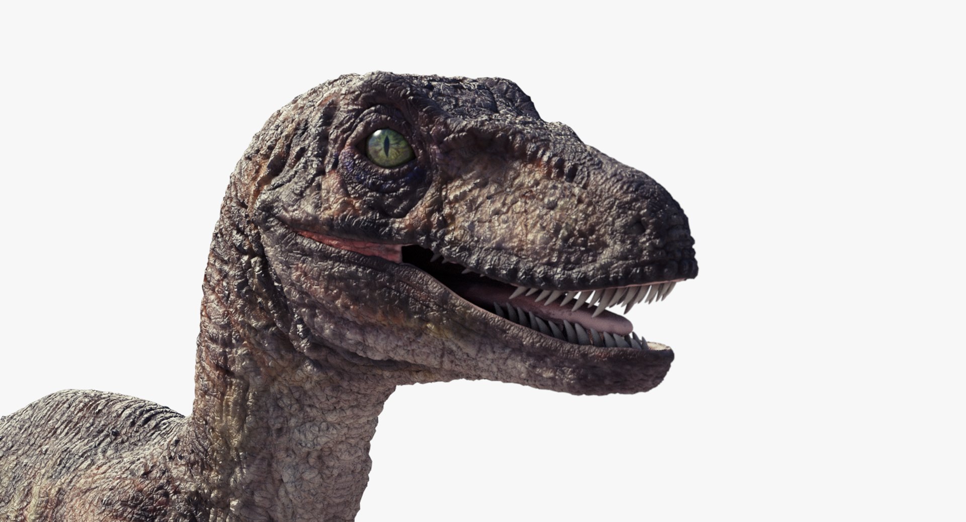 3d Raptor Dinosaur Model, image size:1920x1038