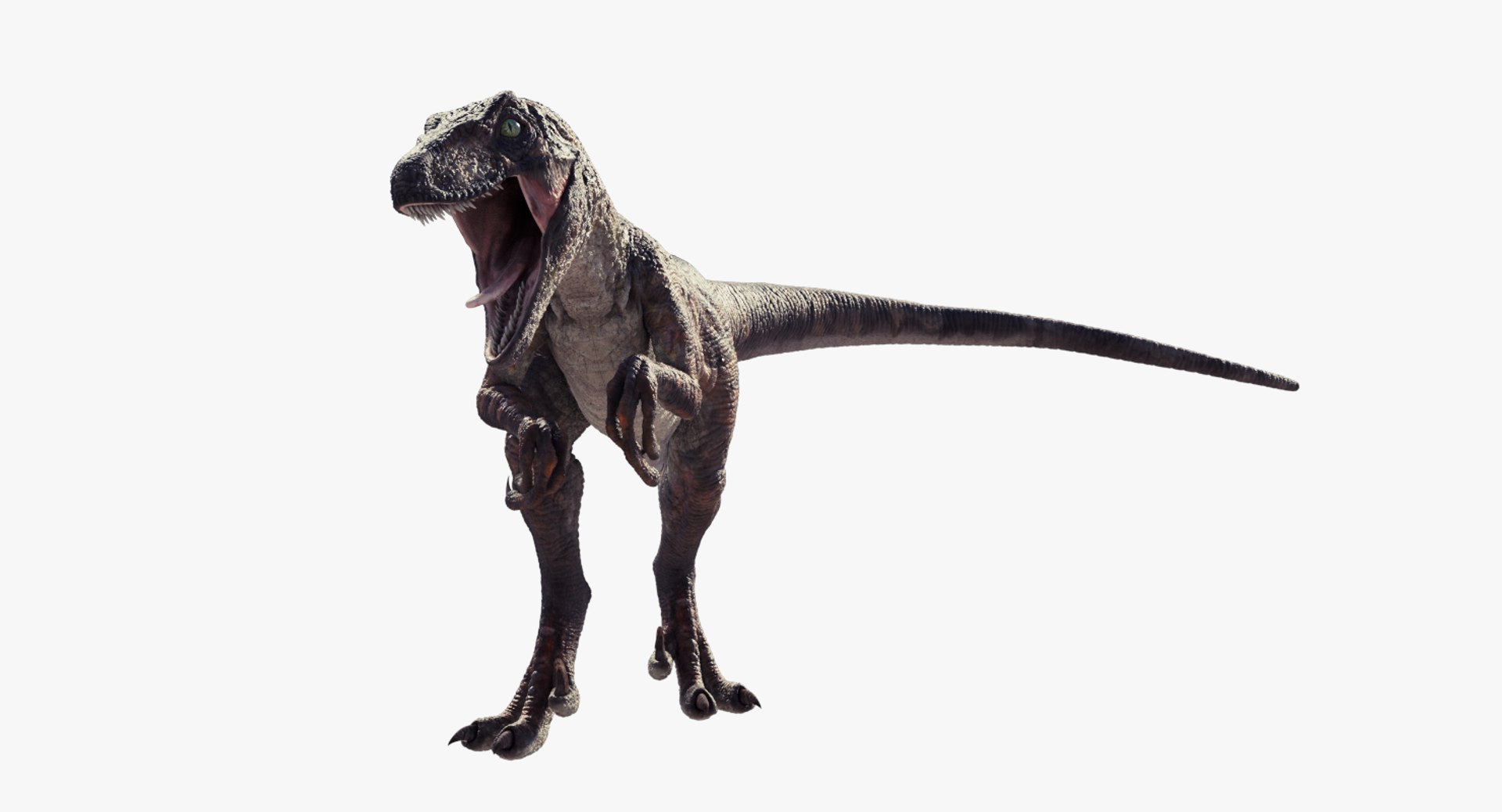 3d raptor dinosaur model https://p.turbosquid.com/ts-thumb/cm/0SeS1W/N22BpIzR/signature3/png/1439230754/1920x1080/fit_q87/42f7cdfb7e713baea0137ccbc3cdd12604be89eb/signature3.jpg