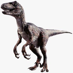 Raptor