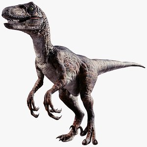 Raptor
