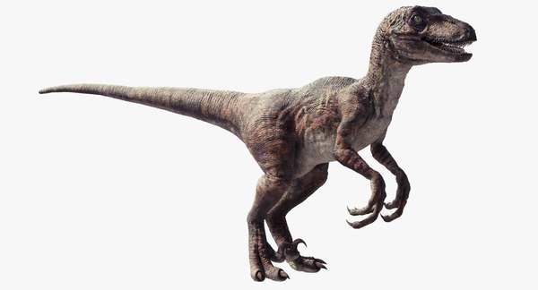 3d raptor dinosaur model