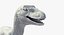 3d raptor dinosaur model