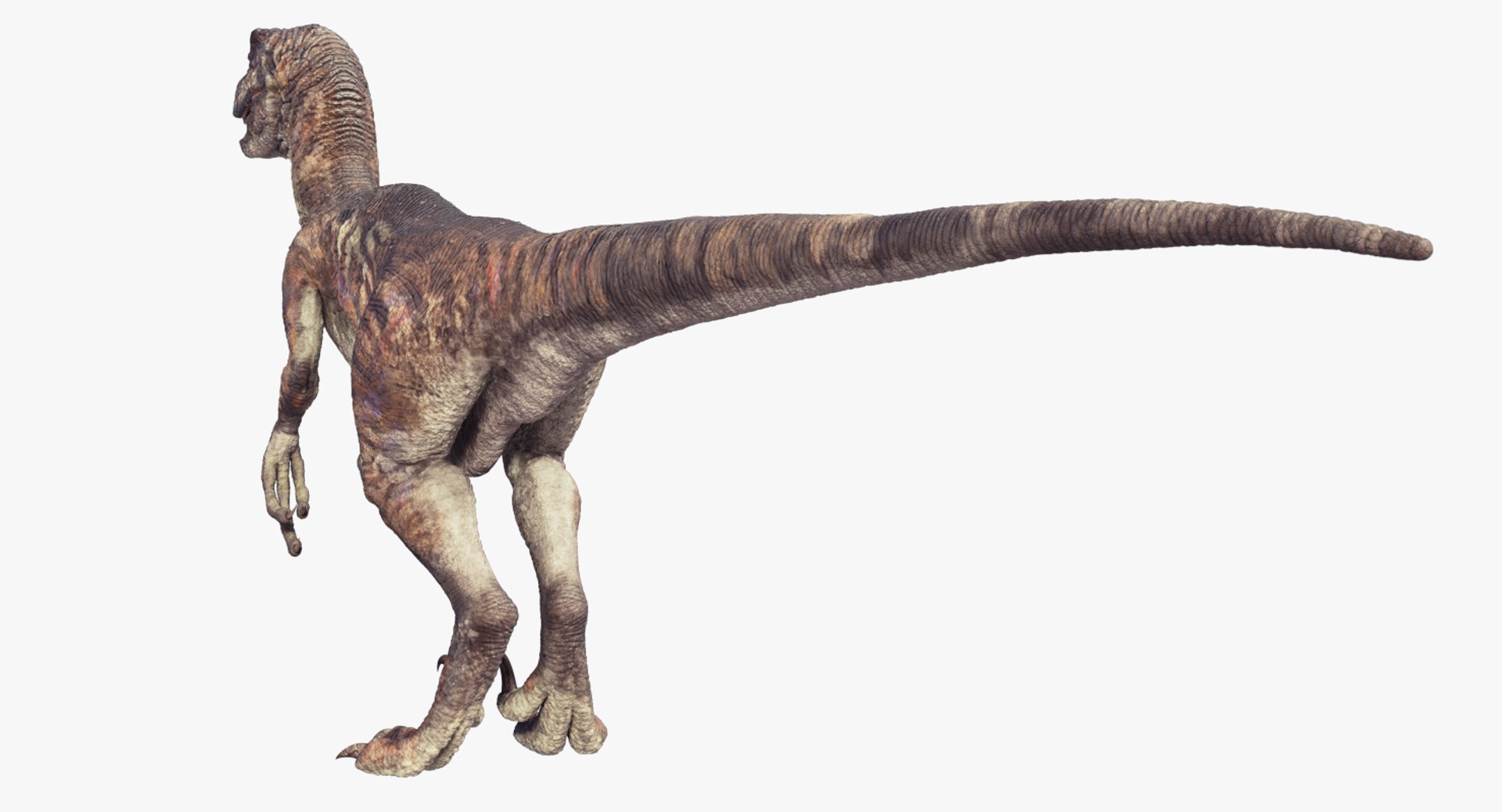 3d Raptor Dinosaur Model