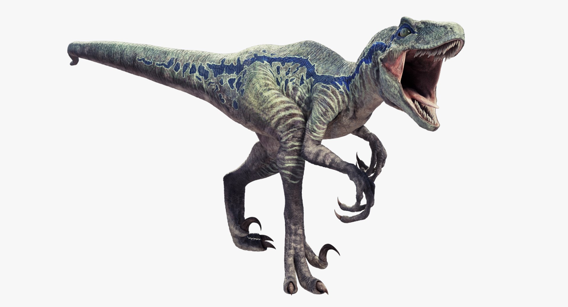 3d Raptor Dinosaur Model