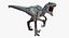 Raptor