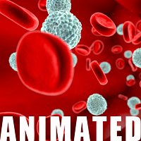 Red White blood cells