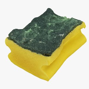 3D used sponge