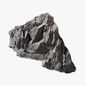 3D Assembly Ground Rock 11 StemCell model