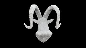 3D Ibex Goat Head Bust