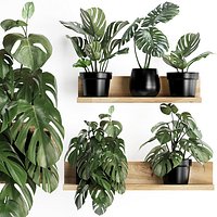 Plant set wall decor vertical garden 403 Monstera