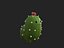 Cactus Character 3D